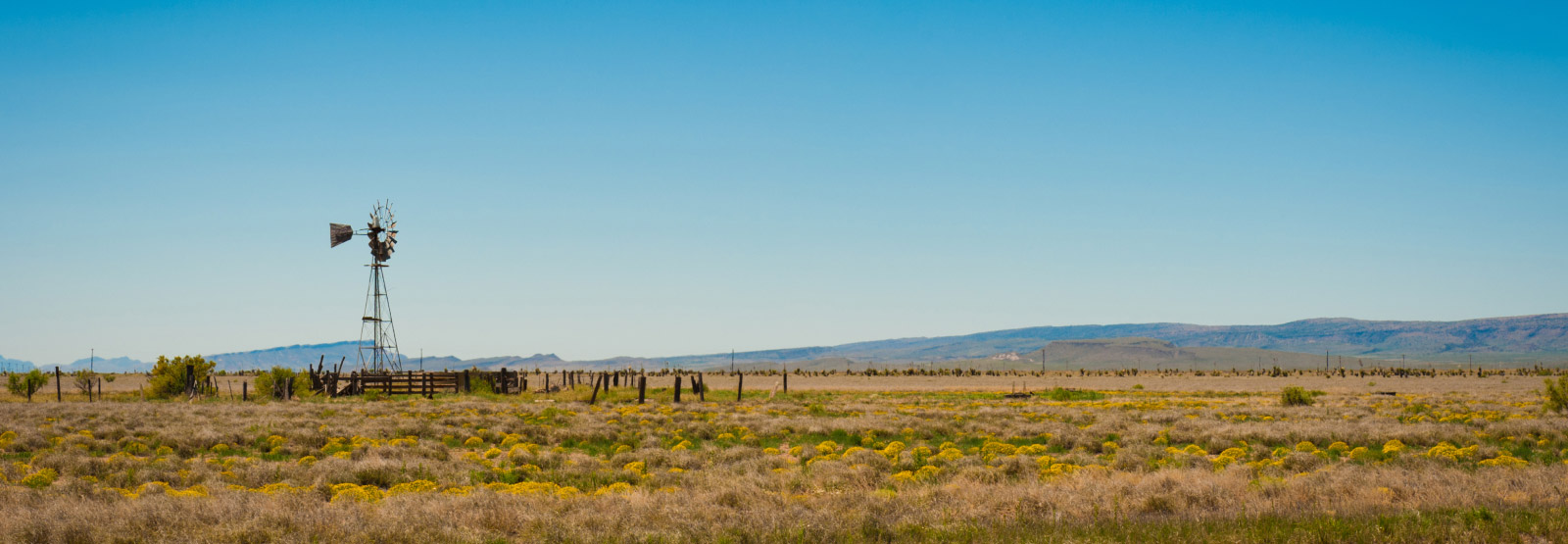 windmill in the distance